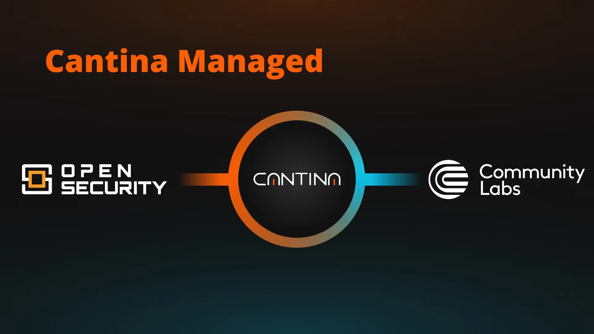 Cantina.xyz: Open Security and Community Labs partnership for comprehensive Web2 security audits.