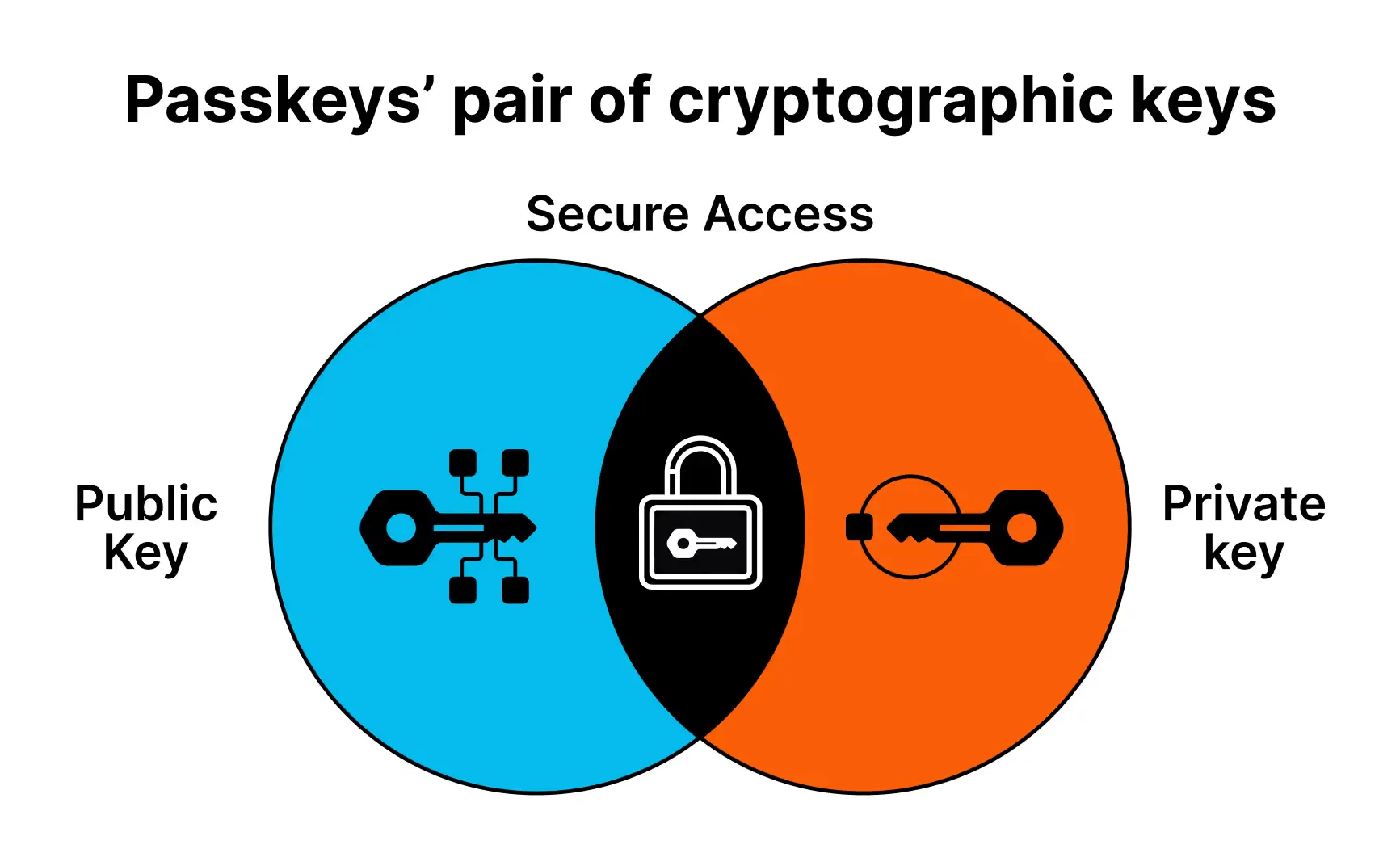 Diagram of passkeys’ cryptographic key pair: a Venn diagram showing public and private keys enabling secure access.